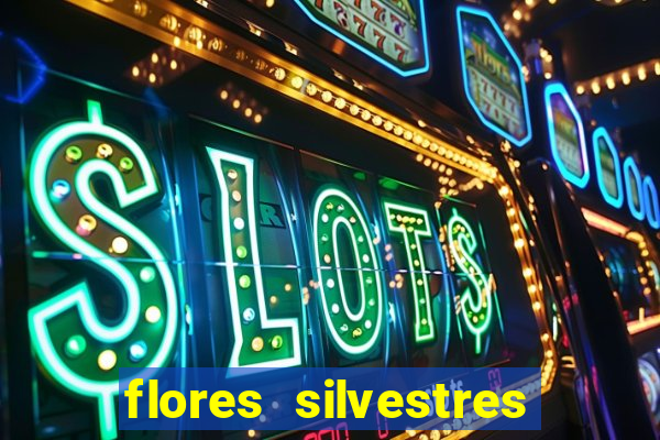 flores silvestres desbravadores desbravadores 25 flores silvestres e seus nomes